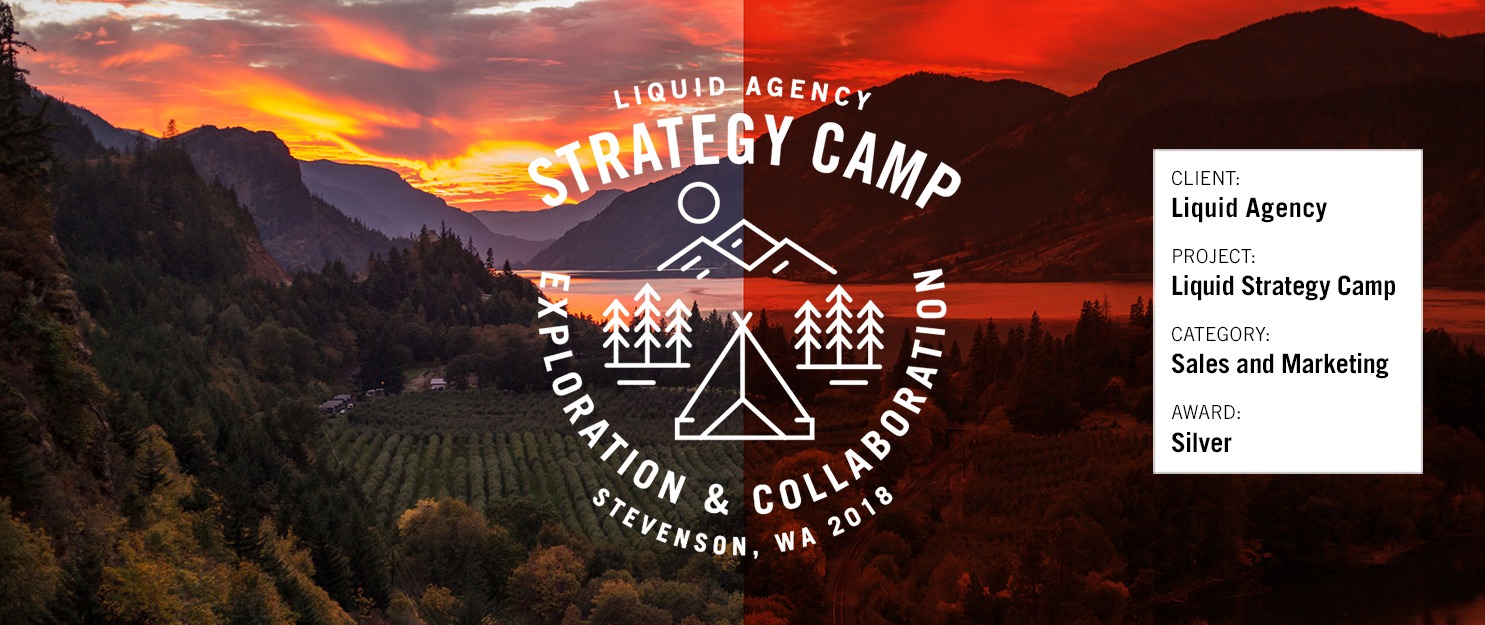 liquid agency strategy camp